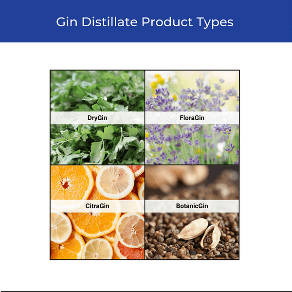 Gin Distillate Types